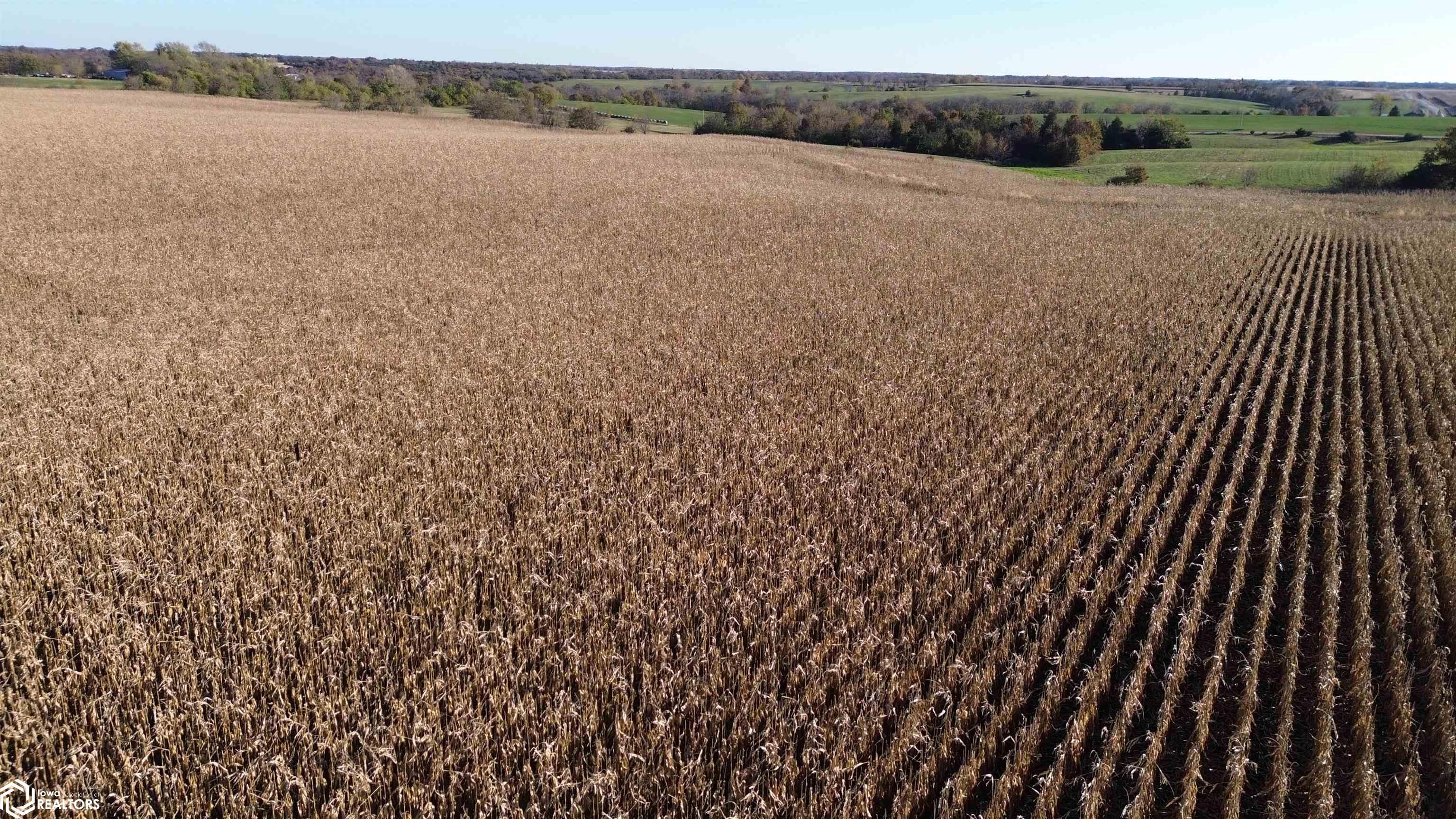 52 A Scarlet Avenue, Bloomfield, IA 52537 photo 1 of 12