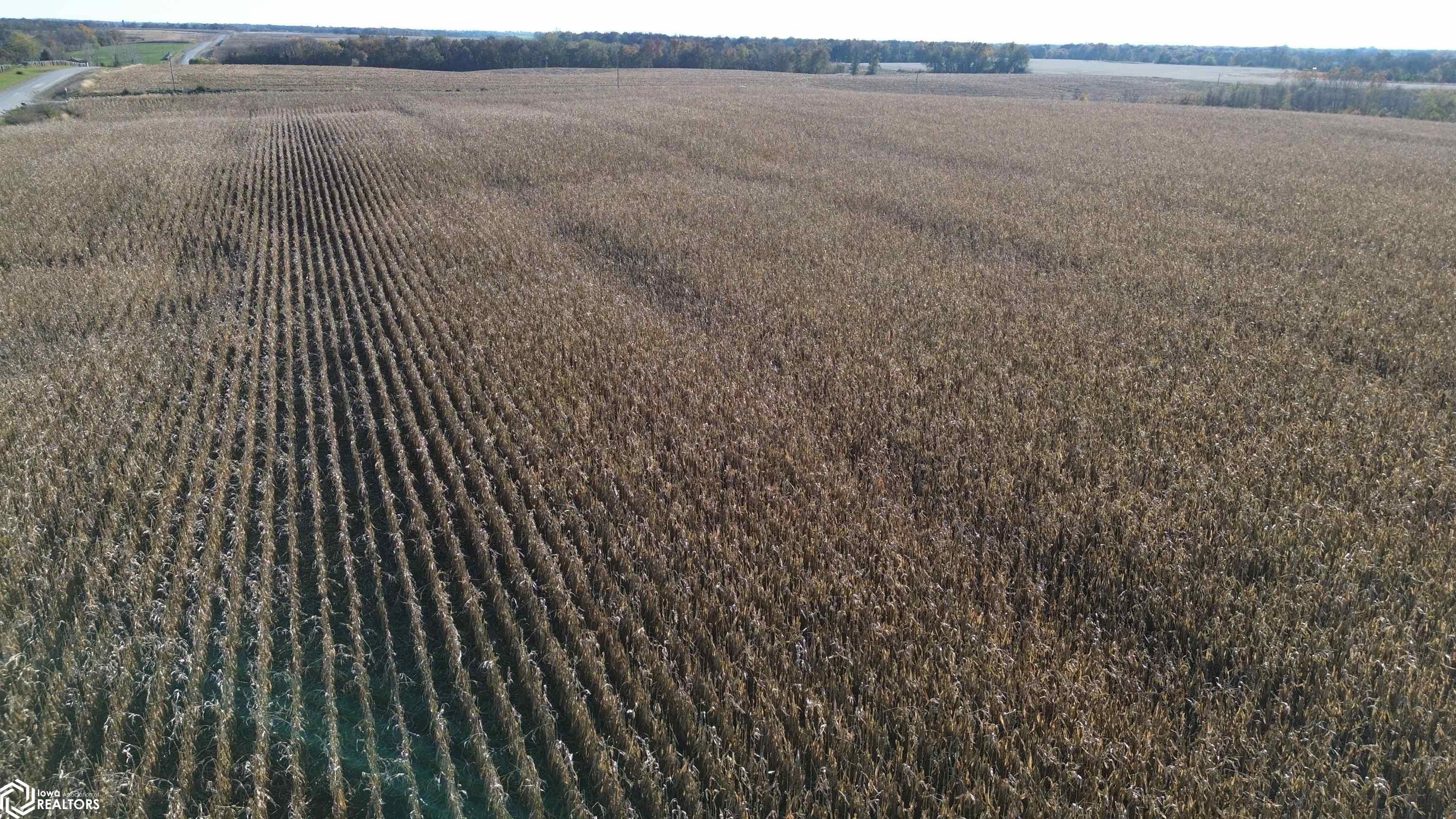 32 A 160th Street, Bloomfield, IA 52537 photo 1 of 16