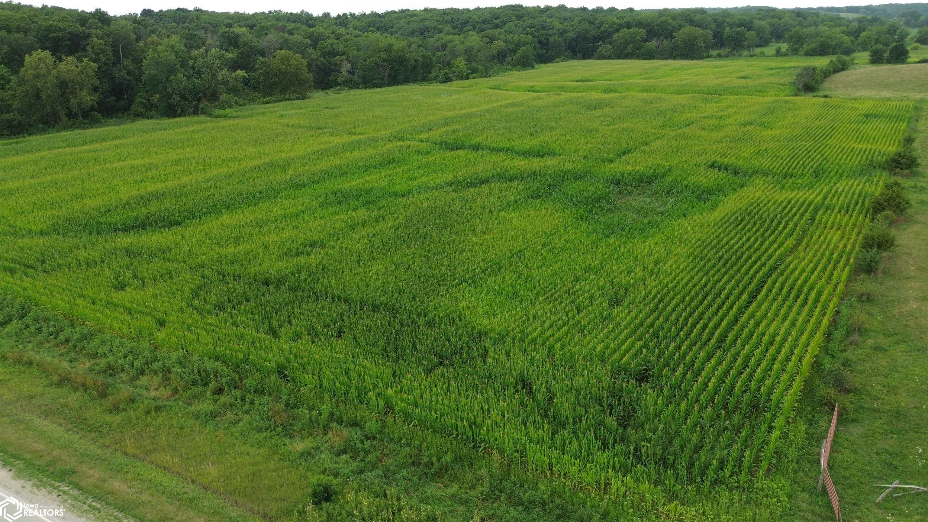 21 Acres Timber Avenue, Bloomfield, IA 52537 photo 1 of 14