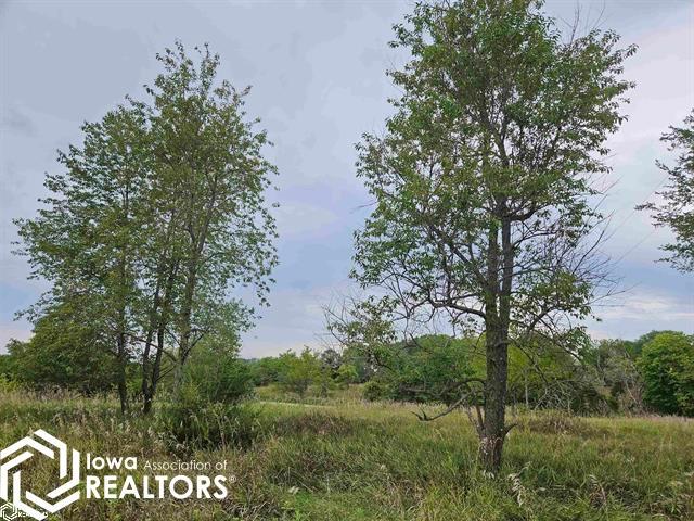 1751 Iris Avenue, Fairfield, IA 52556 photo 1 of 3